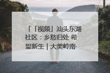 「视频」汕头东湖社区：乡愁归处 希望新生｜大美岭南·百村焕新记